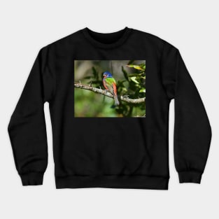 Painted Bunting Bird Photograph Notecard Crewneck Sweatshirt